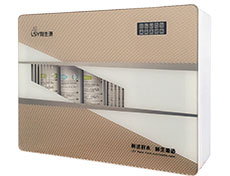 <b>五級(jí)RO反滲透凈水器LSR-201-ROH502</b>